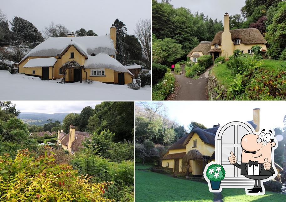 Periwinkle Cottage Tea Room