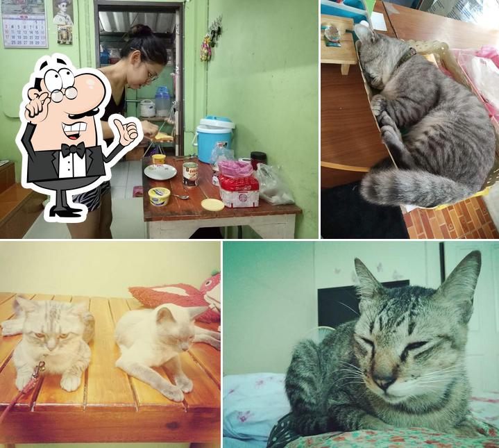 ร้านตากะยาย อาหารสัตว์