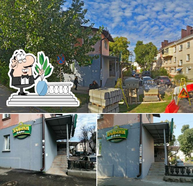 Хадыжи плюс