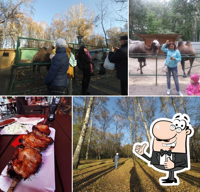 В Березовой роще