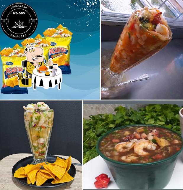 Cevichera MG 505