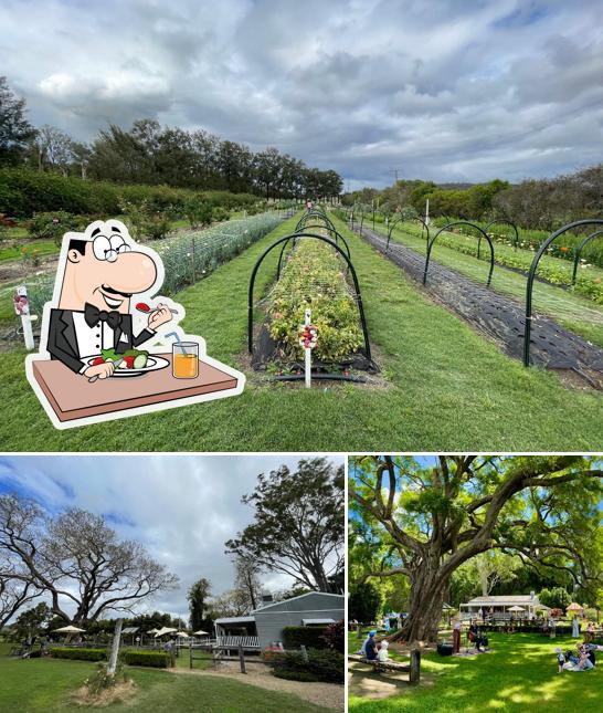 Scenic Rim Farm Box Cafe