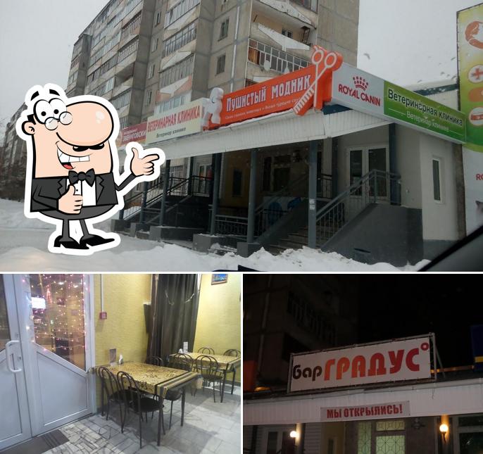 Градус