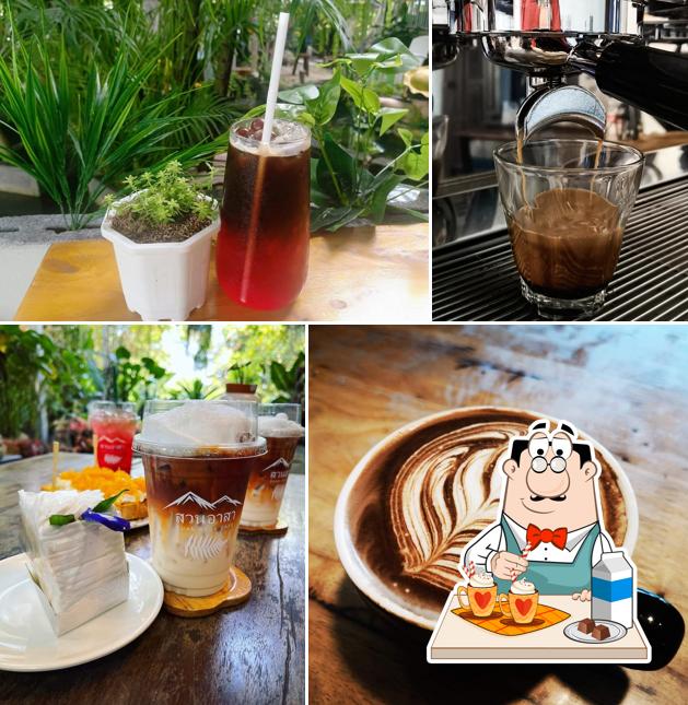 สวนอาสา SUAN ASSA CAFE