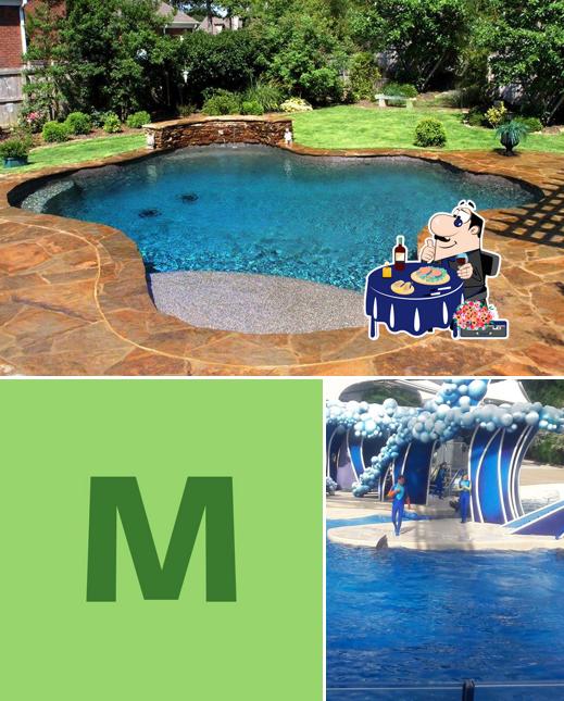 Minerva viajes Orlando FL