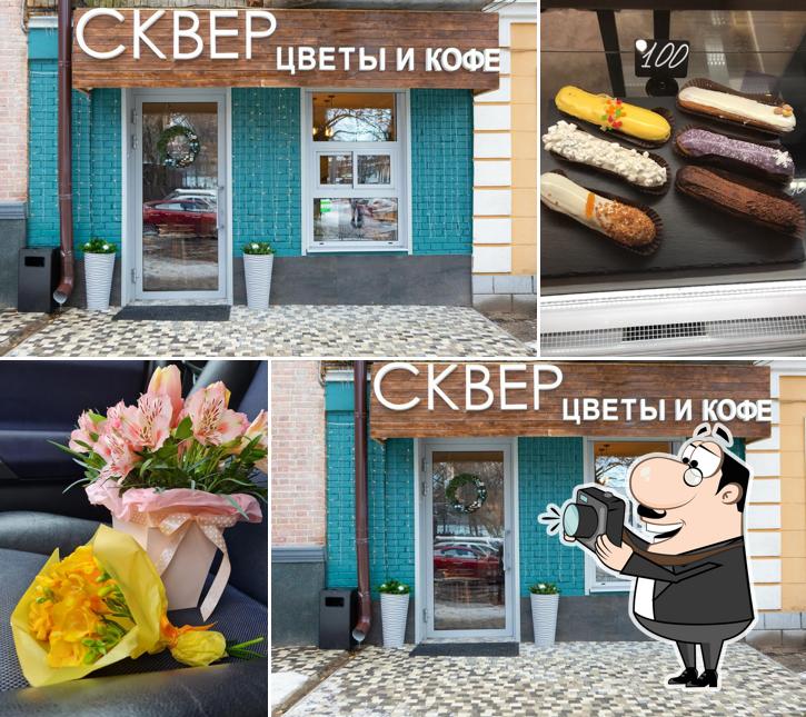 Сквер Гарден