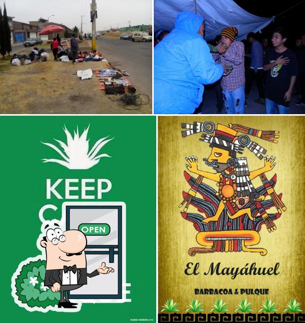 El Mayahuel