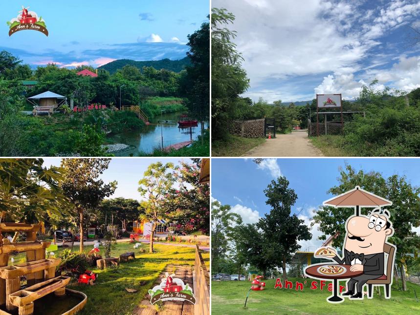 Ann’s farm lampang thailand