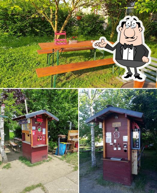 Pivní budka pod moruší