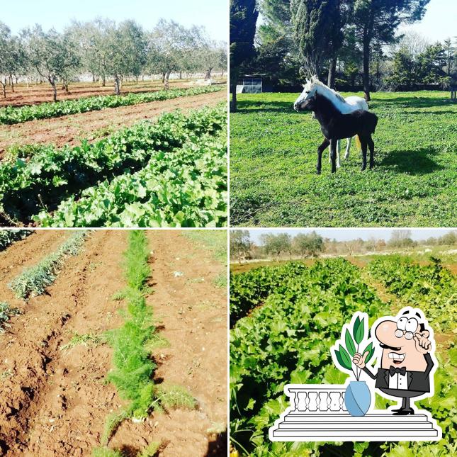 Agriturismo Beethoven