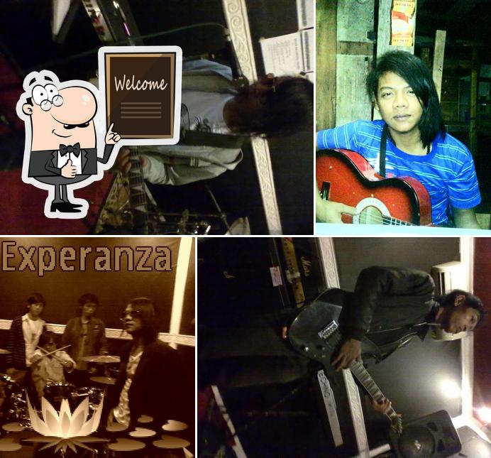Aurora kelinci