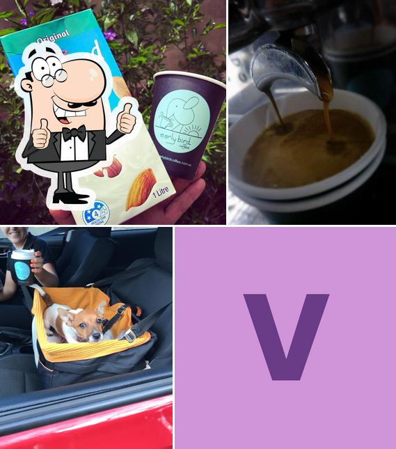Van Wild Coffee