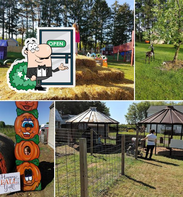 Leaman's Green Applebarn