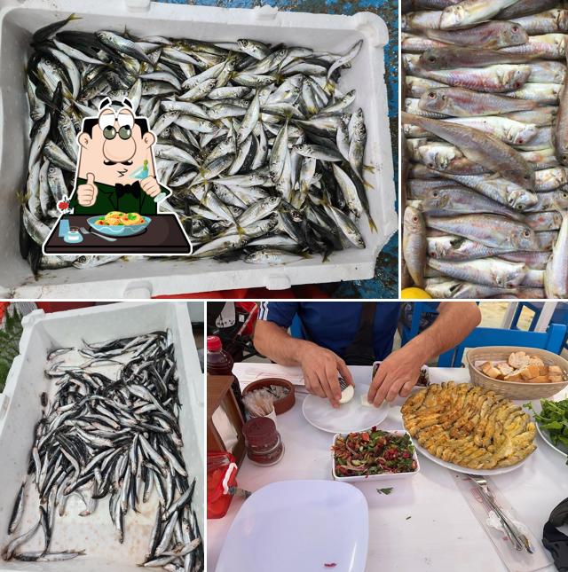 Balıkçı Serdar