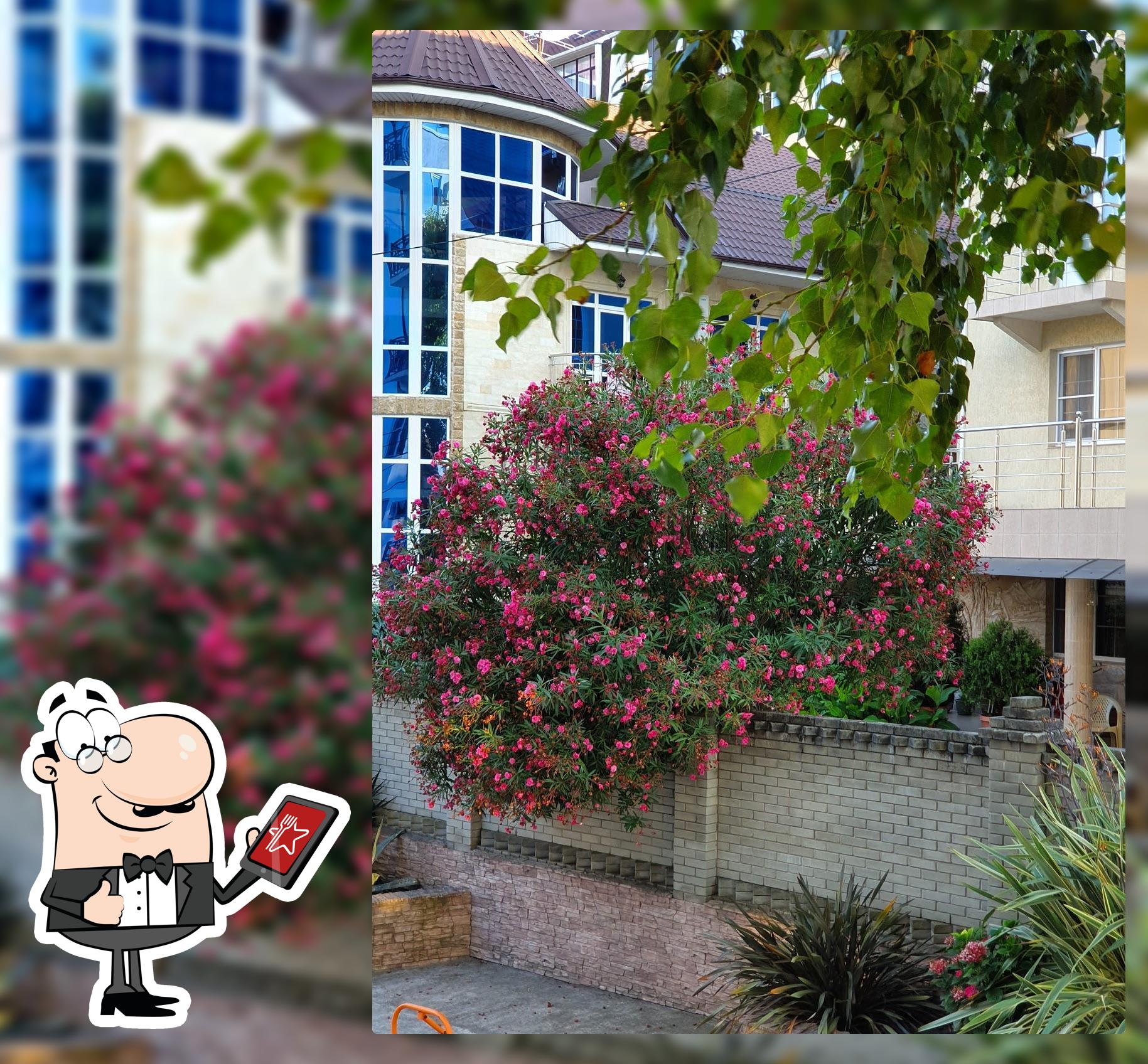 Доставка Еды 24 часа Адлер