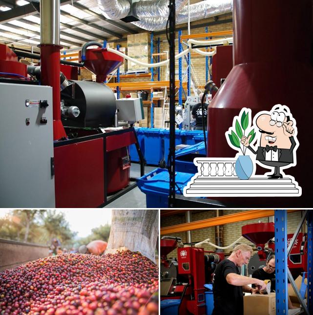 Little Owl Coffee Roasters