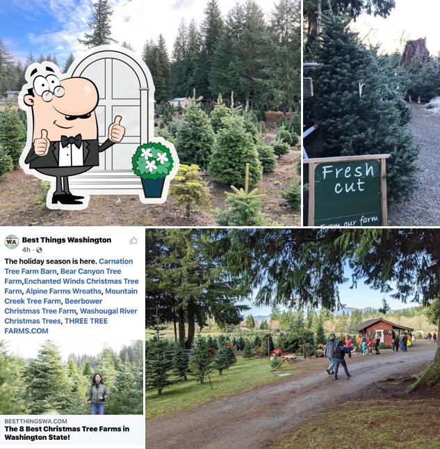 THREE TREE FARMS