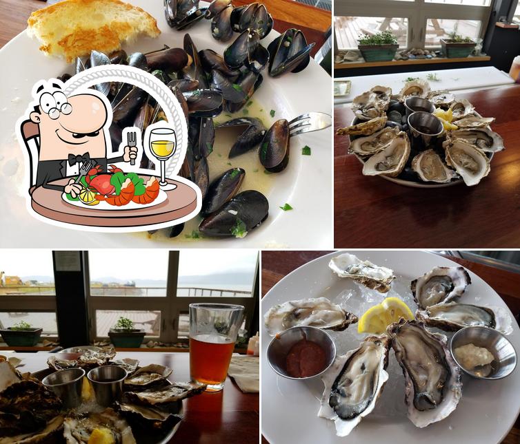 Kachemak Shellfish Growers