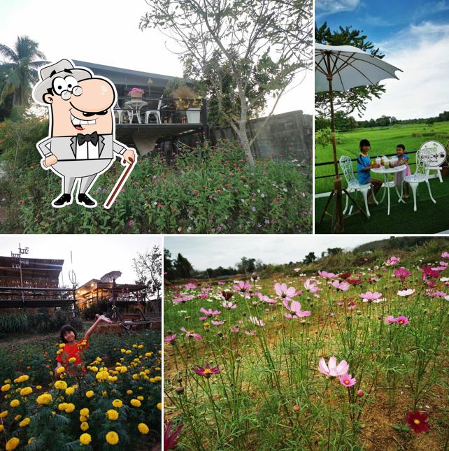 แลนา คาเฟ่