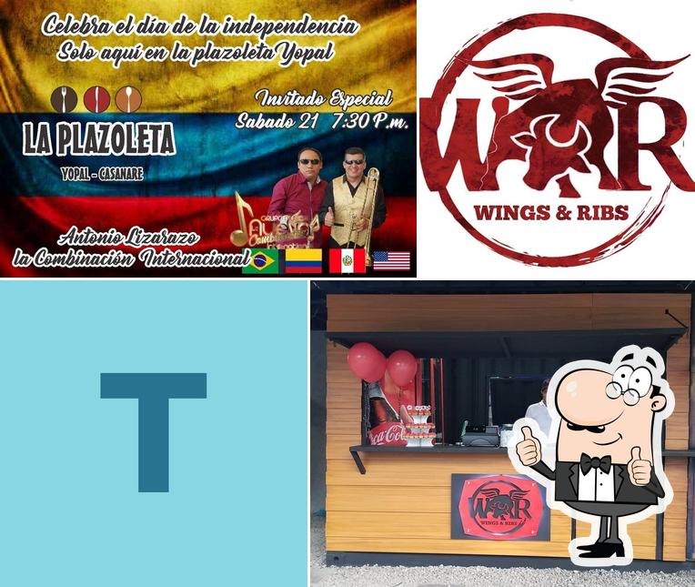The Wings & Ribs