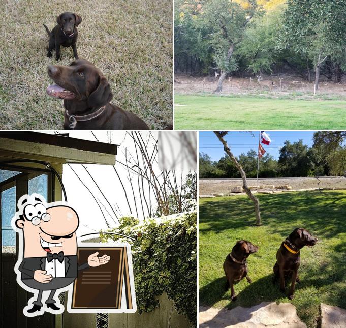 The Pupper Place