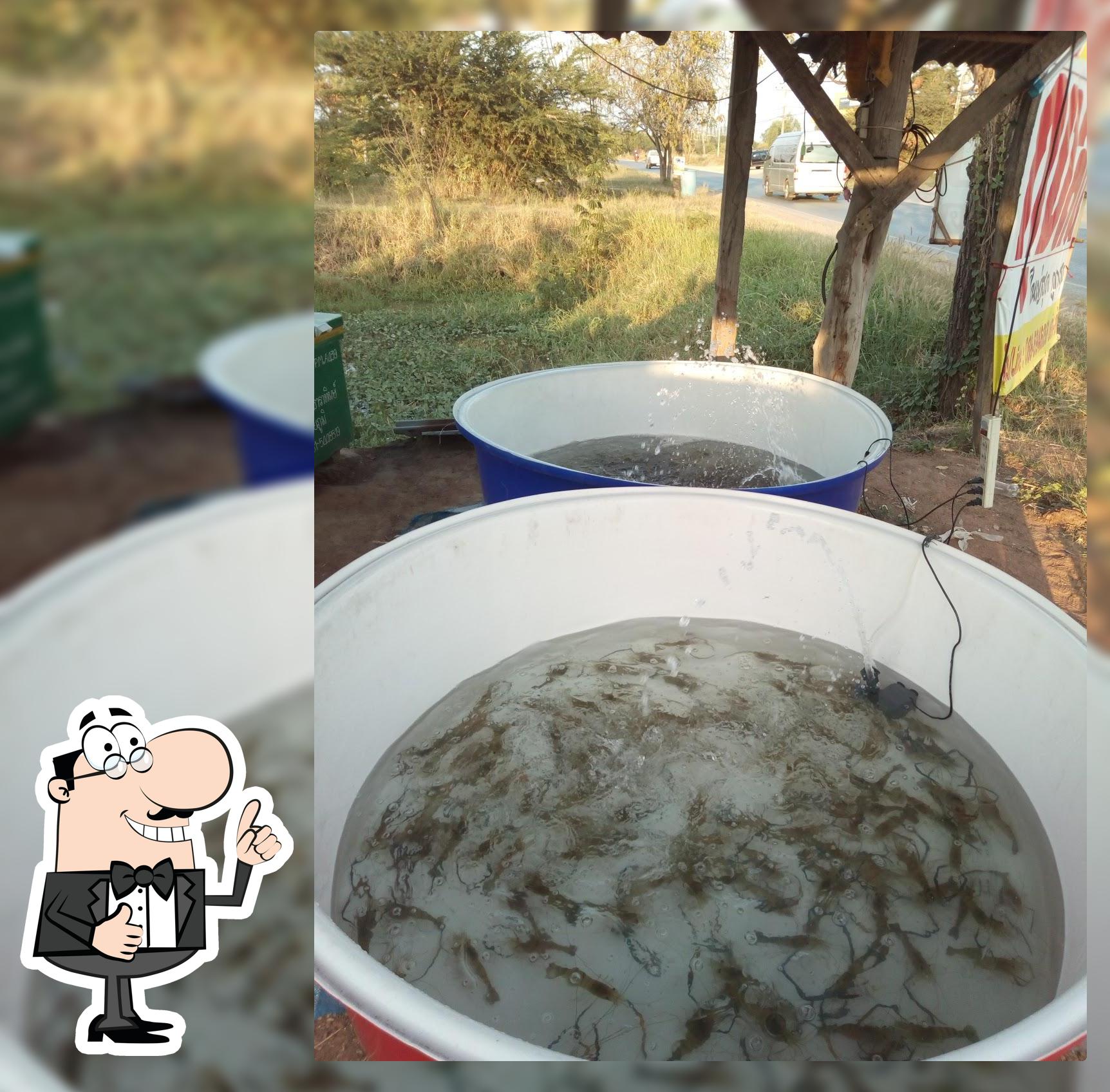 เล็กกุ้งสดสาขา2เปิดขายเฉพาะเทศกาลปีใหม่และสงกราน์เท่านั้นครับ