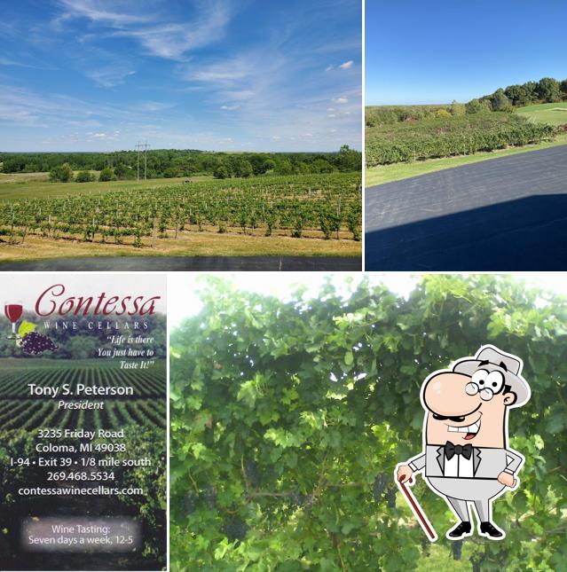 Contessa Wine Cellars