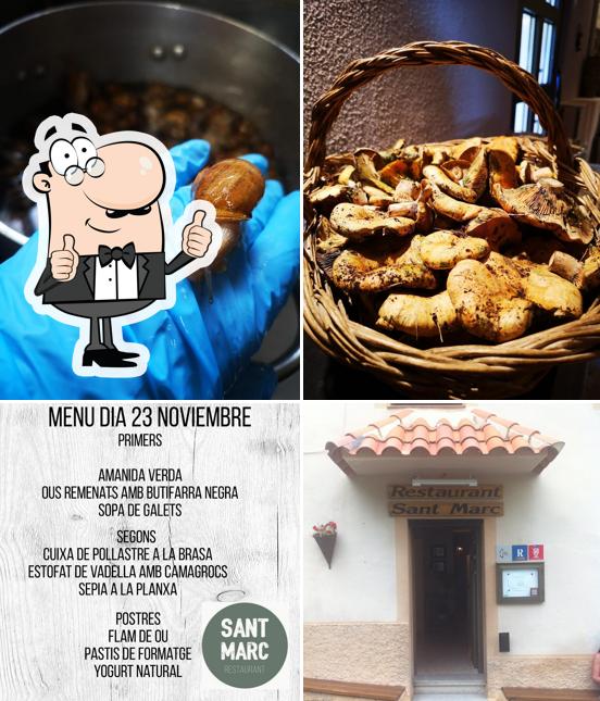 Sant Marc Gastronomia SL