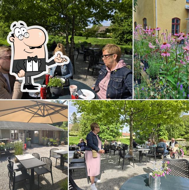 Slottsträdgården Merlo