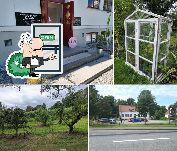 Folkets bakgård