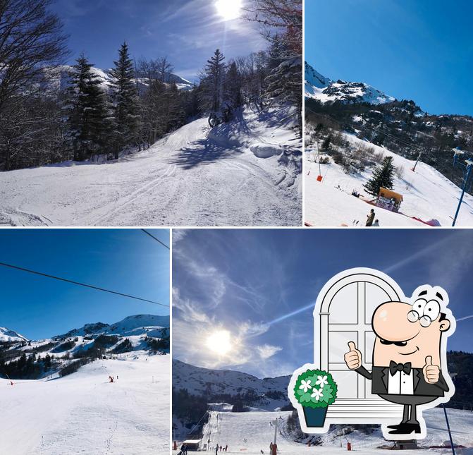 Le Perce-Neige