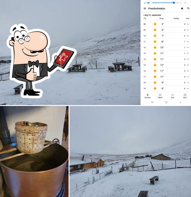 Prestholtseter