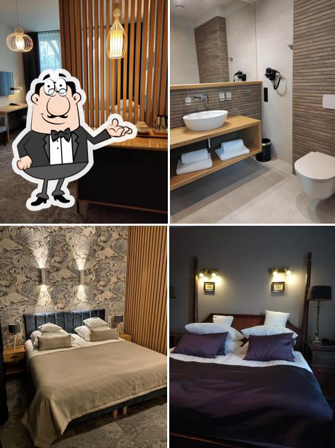Hotel Szara Willa