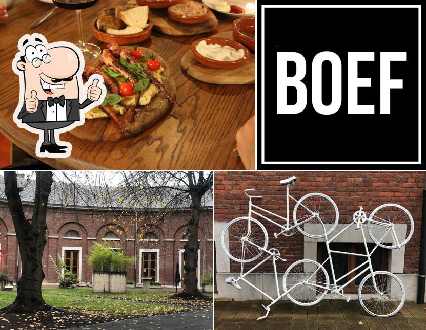 BOEF