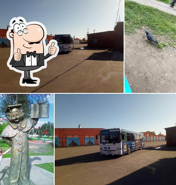 Старый Кировск