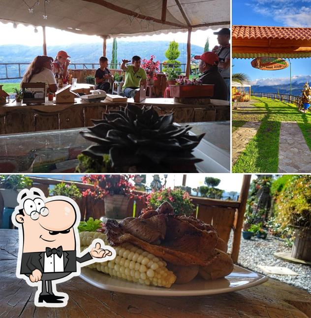 Terranova Patate (Camping Glamping&Chalet))
