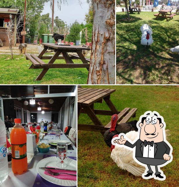 Ada Park Cafe & Restaurant
