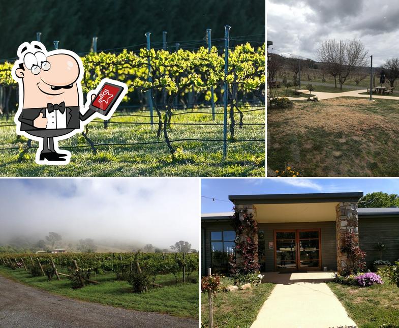 Lake George Winery