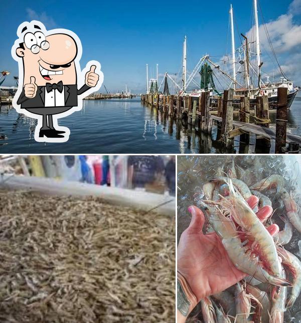 The Shrimp Lady