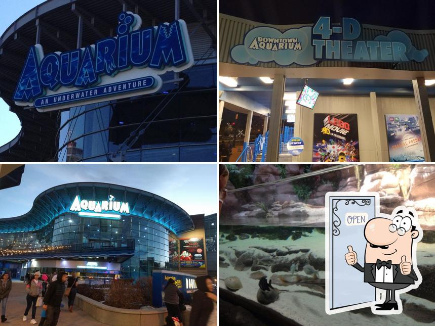 Downtown Aquarium