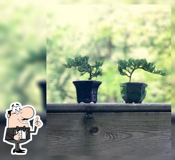 Deb's Garden
