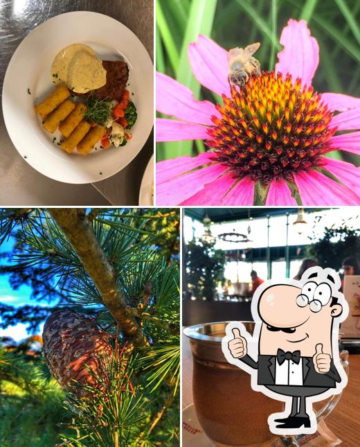 Restaurant Botanica
