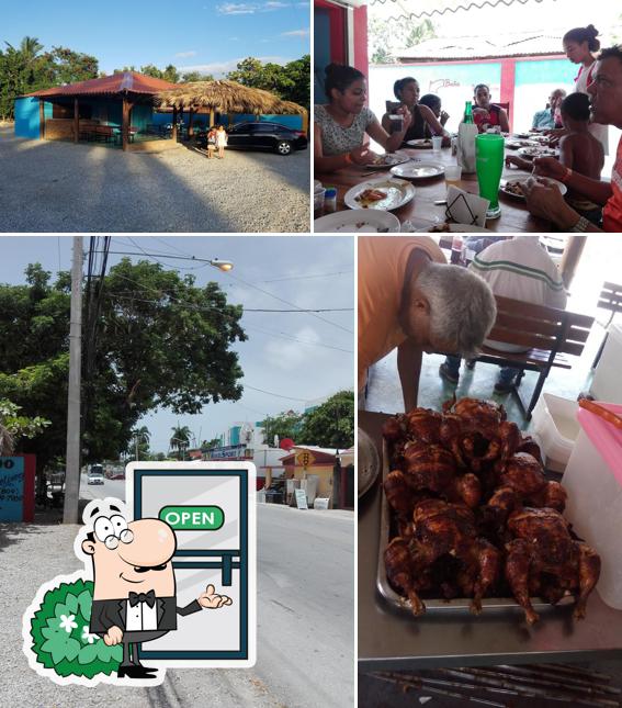 El Mundo Del Pollo