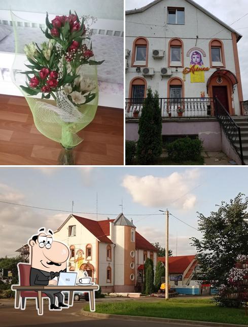 Аленка Кафе ЧТУП Плакса