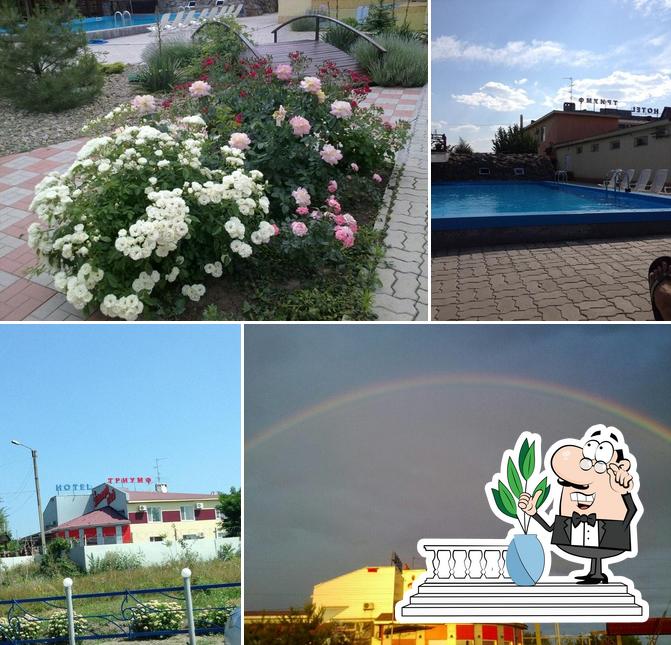 Внешнее оформление "Триумф"