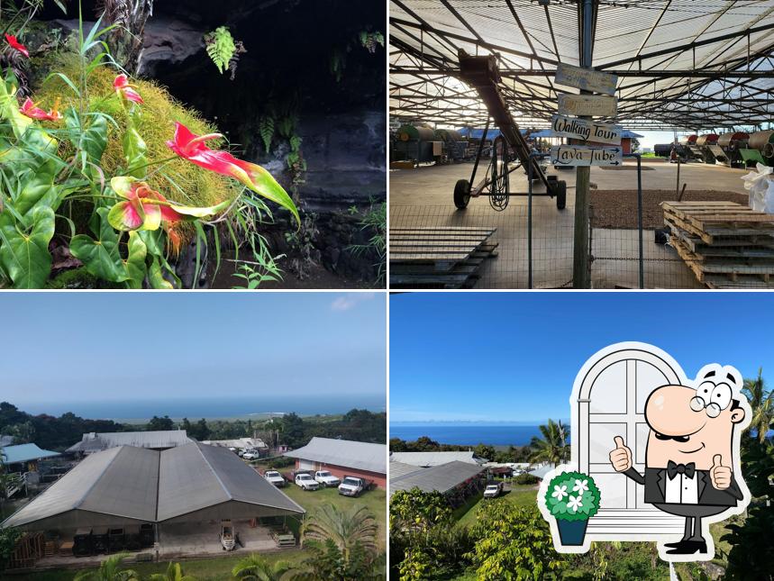 Royal Kona Coffee Center