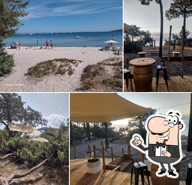 Chez Alex