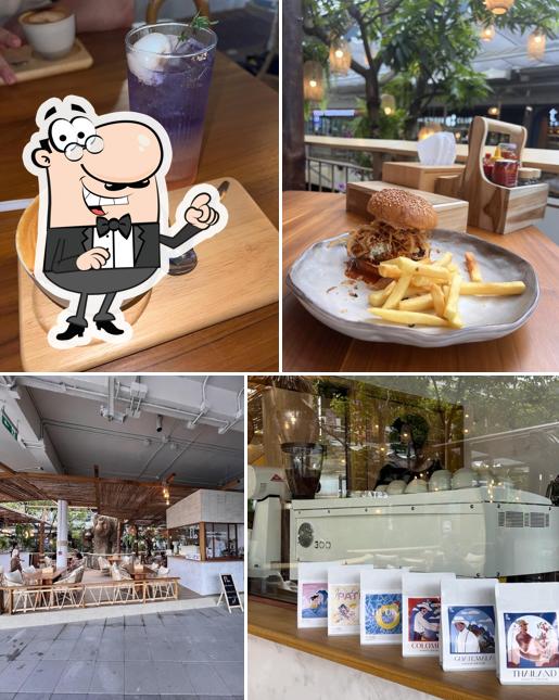 Flo Speciality Coffee Roaster (Central Samui)