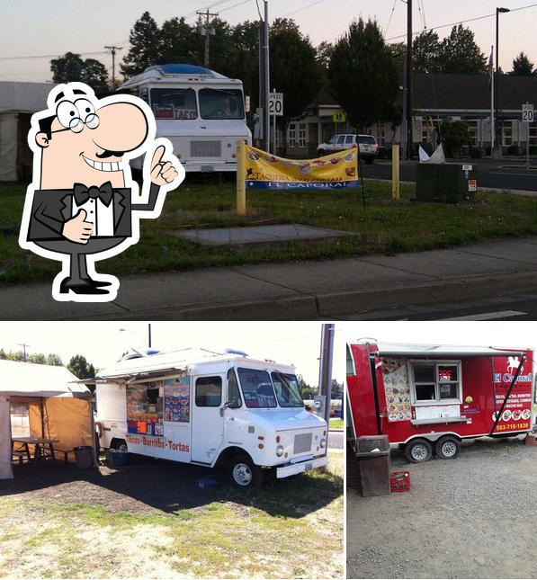 Taco Truck