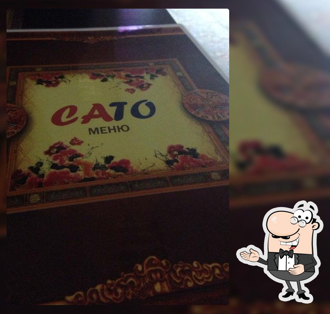 кафе Cato